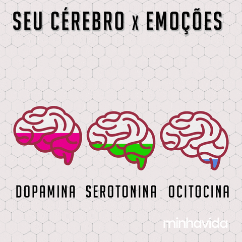 Cérebro x Emoções
